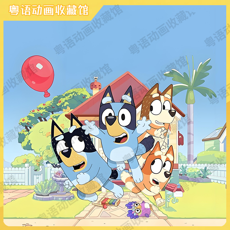 布鲁伊